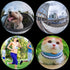 Fisheye Lens 235° Phone Camera Lens, Fish Eye Lens for iPhone 14 13 12 X XR Pixel Samsung Smartphone,Clip on Cell Phone?Funny Photos......