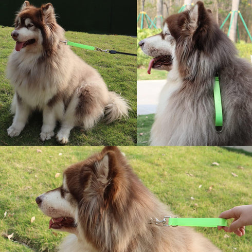 Traffic Dog Leash Dog Training Leash Pet Dog Traffic Grab Handle Dog Grab Tab Training Tab (green & blue)...