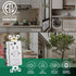 GFCI Outlet,Tamper Resistant GFCI Receptacle with Combination Switch,ETL Listed,Back &Side Wire,White (TR&WR15Amp)...