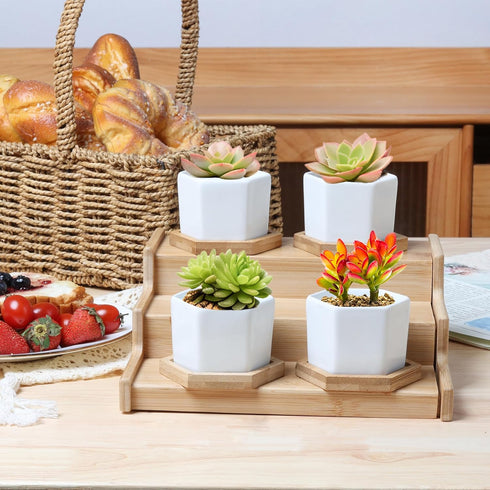 T4U Small White Succulent Planter Pots with Bamboo Tray Hexagon Set of 2, Geometric Ceramic Cactus Plant Holder, Succulent Plant Gifts for Gardene...