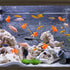 Sumind 30 Pieces Fake Goldfish Plastic Floating Artificial Aquarium Fish Realistic Moving Orange Goldfish Fish Ornament Decorations for Aquarium F...