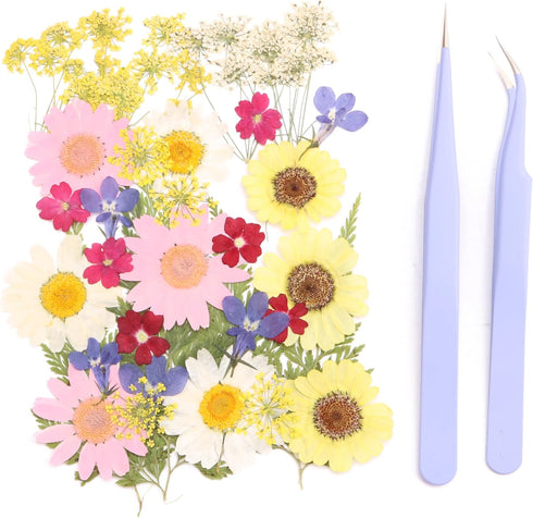 35pcs Resin Dried Flowers + 2 Tweezers, Pressed Flowers-Real Natural Herbs , for DIY Ornaments Candles Cups Making Wall Stickers Lampshades Art Cr...