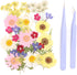 35pcs Resin Dried Flowers + 2 Tweezers, Pressed Flowers-Real Natural Herbs , for DIY Ornaments Candles Cups Making Wall Stickers Lampshades Art Cr...