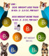 PROFERRIC 100 CC. Tonic Liquid Best Pet Booster Blood Support for Dogs Puppies Iron & Multi Vitamins Supplement Fast Increasing Animal Immunity En...