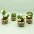 Lily's Lyric Crochet & Craft Kit | Cactus LOVE| Step-by-Step Video Tutorial for Adults Teenagers | Craft Gift Idea DIY Home Decoration......