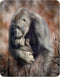 Magnet - A Love So Grand from Deluxebase. Lenticular 3D Gorilla Fridge Magnet. Magnetic Decor for Kids and Adults with Artwork Licensed from Renow...