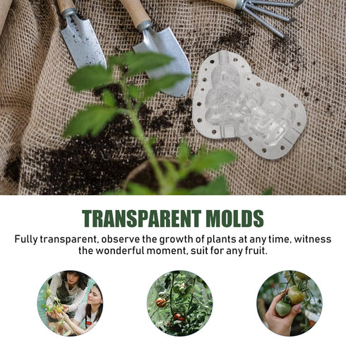 GANAZONO Multipurpose Tool 4Pcs Buddha Shape Melon Shaping Mold Plastic Garden Vegetable Grow Forming Mould Tool Fruit Growing Molds Shaping Tool ...