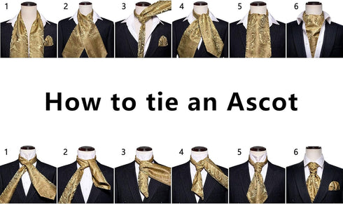 Barry.Wang Ascot Ties Cravat Tie Men Paisley Plaid Scarf Self Tie Pocket Square Cufflinks Set Wedding Party...
