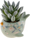 Karma, Shaped Succulent Pot, Artificial Succulents in Ceramic Pot, Faux Mini Succulent Plant, Desk Decor, Office Plants, Succulent Décor Faux Succ...