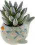 Karma, Shaped Succulent Pot, Artificial Succulents in Ceramic Pot, Faux Mini Succulent Plant, Desk Decor, Office Plants, Succulent Décor Faux Succ...