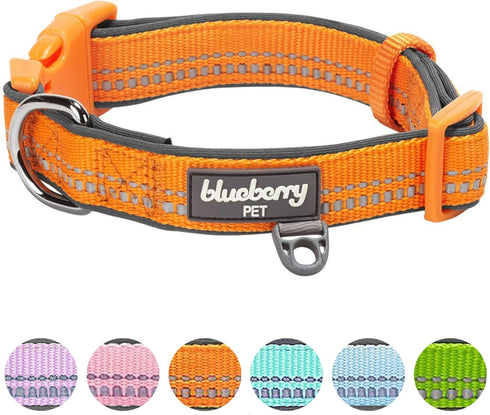 Blueberry Pet Soft & Safe 3M Reflective Neoprene Padded Adjustable Dog Collar - Orange Peel, Medium, Neck 14.5"-20"...