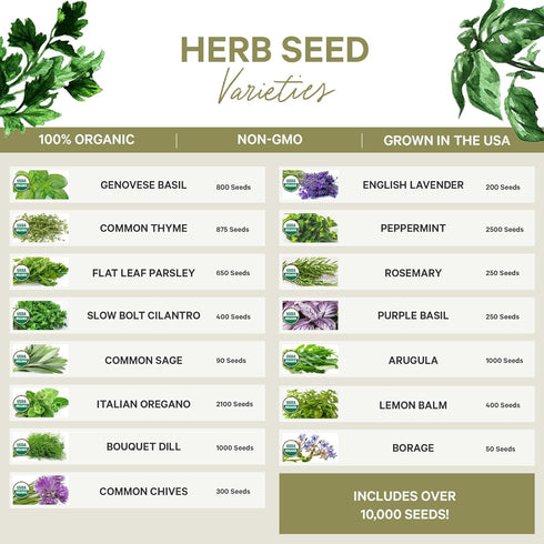 15 Certified Organic Herb Seeds Variety Pack (4X More) 10,000+ Non GMO Seeds for Planting Indoor Herb Garden or Outdoor Herb Garden Seeds for Plan...