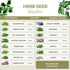 15 Certified Organic Herb Seeds Variety Pack (4X More) 10,000+ Non GMO Seeds for Planting Indoor Herb Garden or Outdoor Herb Garden Seeds for Plan...