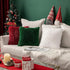 MIULEE Pack of 2 Luxury Faux Fur Decoration Throw Pillow Covers Deluxe Winter Cute Decorative Plush Pillow Case Cushion Cover Shell for Sofa Bedro...