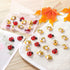 MIKIMIQI 60 Pcs Tiny Resin Bees Ladybugs Decor, Including 30 Pcs Bumble Bee Embellishment 30 Pcs Resin Ladybug Craft Decorations with Storage Box ...
