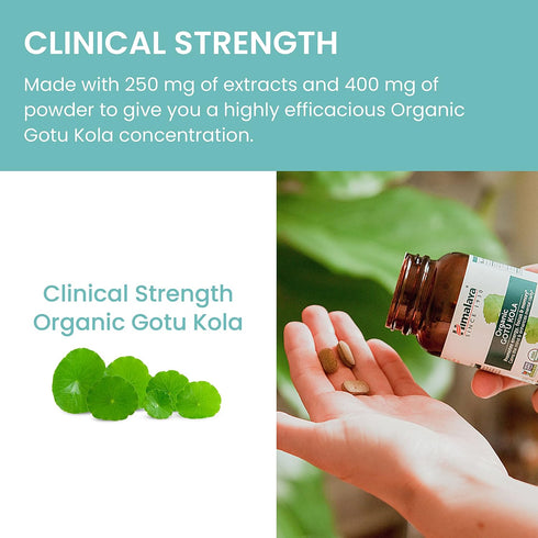Himalaya Organic Gotu Kola, Herbal Supplement for Energy, Focus, Memory, Alertness, Concentration, Calms The Mind, Cognitive Support, Non-GMO, USD...