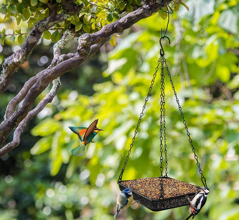 MIXXIDEA Hanging Bird Feeder Tray Metal Mesh Platform Seed Feeder with Durable Chains for Outdoors Garden Great for Attracting Birds (1 Pack)...