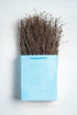 100 pcs Birch Twigs for vase decoration. Set of 2 Bundles of Branches 100% natural sticks 17 inches...