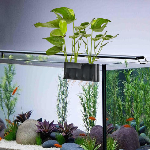 4 Pcs Aquarium Plant Holder,Plastic Hanging Aquarium Plant Pot with 5 Hole, Rimmed and Rimless Fish Tank Plant Holder for Aquarium Living Fish Aqu...