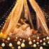 Solar Garden Lights Outdoor, 12LED Mini Mushroom Solar String Lights 8 Modes Waterproof Solar Landscape Lights for Pathway, Yard, Wedding,Backyard...