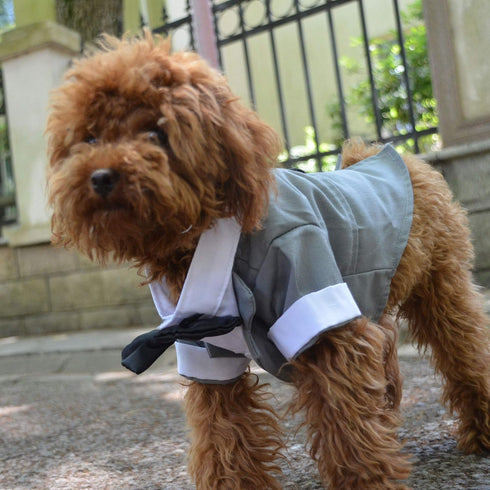 Lovelonglong Pet Costume Dog Suit Formal Tuxedo with Black Bow Tie for Small Dogs Pug Clothing Gray XL...