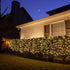 Lighting EVER Plug in Fairy Lights with Switch 66 ft 200 LED String Lights, Warm White Copper Wire Lights Waterproof Indoor Outdoor Decorative Fai...