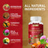 Premium Berberine HCl Gummies (1200mg) with Ceylon Cinnamon, Turmeric, Milk Thistle, and Artichoke - Sugar Free Gluten Free High Potency Supplemen...