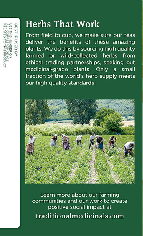 Traditional Medicinals Yellow Pau d’Arco Herbal Tea, Contributes to a Healthy You, (Pack of 2) - 32 Tea Bags Total...