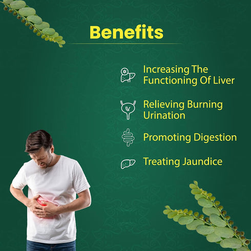 Organic Bhumi Amla Powder - Rich in Antioxidant Vitamin C - Supports healthy immune function 100Gm (Pack of 1)...