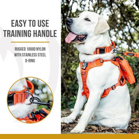 Tough Dog Collars, Tactical Dog Collar with Handle, Milltary Adjustable Dog Collar with Heavy Duty Metal Buckle for Training (Medium(Pack of 1), O...