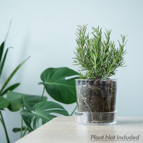 4.5 Inch Clear Acrylic Planter Pot with Tray, Orchid Pot with Drainage Holes, Deep Saucer for Bottom Watering, Transparent Containers for Indoor P...