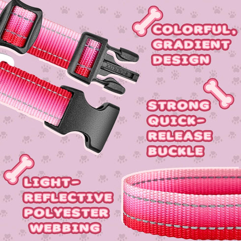 Martingale Dog Collar Pink Light-Reflective Polyester Collars for Dogs Whippets, Greyhounds, Saluki, American Bully, No-Pull No-Escape Safety Trai...