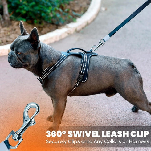 Mmmaxmill Retractable Dog Leash - Anti-Slip Rubberized Handle, 16ft Ergonomic Retractable Leash Pet 360° Tangle Free, Cat and Dog Leads for Walkin...