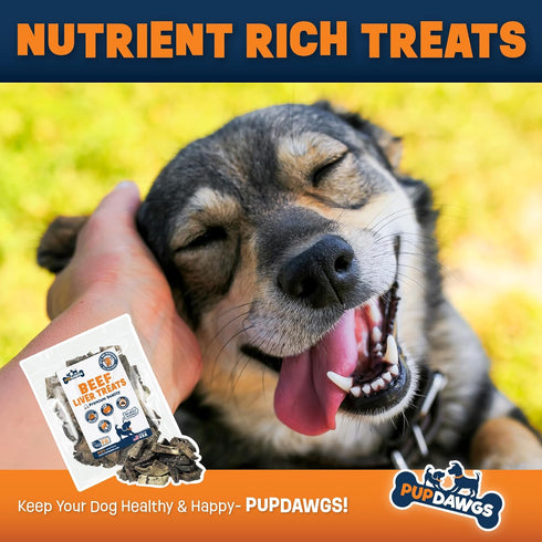 Beef Liver Dog Treats | Hickory Smoked Flavor Liver Treats for Dogs Made in The USA | Nutritious Dog Liver Treats | All-Natural Dehydrated Liver D...