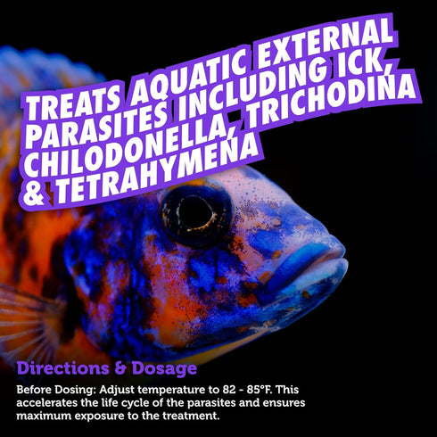 Fritz Aquatics FZ Fixick8oz Treatment for Fresh and Saltwater Fish (8 oz) (Pack of 1)...