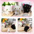9 Pieces Mini Cat Plush Stuffed Animals Bulk Cute Small Stuffed Kitten Soft Cats Doll Plush Toys Hanging Pendant Ornament For DIY Keychain Birthda...