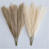 ChagoArt-Pampas Grass Decor Tall-Faux Pampas Grass Small 17"-6 Stems-Beige and Taupe-Brown-Pompas Floral-Fake Pampas Grass-Artificial Pampas Grass...