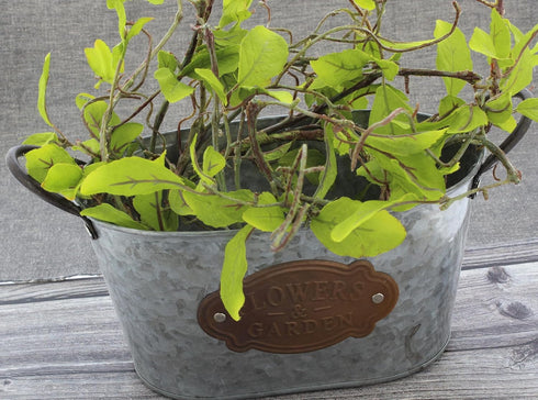 Flowers & Garden' Galvanized Metal Bucket Planter (8.5" x 4.5") - Unique Plant Pot for Indoor Outdoor Country Farmhouse Home Garden Decor...