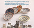 Cat Food Bowls Whisker Fatigue Cat Bowl 5.5 Inches Ceramic Cat Bowl Set of 6 Small Cat Dishes for Indoor Cats Shallow Cat Plates for Wet Food Cute...