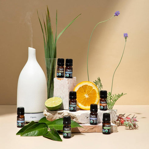 Cliganic Organic Geranium Essential Oil, 100% Pure Natural for Aromatherapy | Non-GMO Verified (Packaging May Vary)...