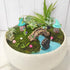 BEZALEL Miniature Fairy Garden Supplies Kit – Mini Fairy Garden Miniatures Decor for Garden Micro Landscape Yard Bonsai, Terrariums, Plant Pots – ...