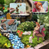 Fairy Garden Accessories, Fairy Garden Kit- Fairies, Rabbits & Mushroom- 6Pcs Mini Figurines & Ornaments Set Decor for Outdoor or House Home Dollh...