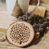 20 Pieces Reusable Tree Stencils 4 Inch Round Tree of Life Stencil for Painting on Wood Plastic Drawing Natural Tree Template Stencils for Coaster...