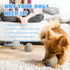 Nocciola Wobble Giggle Ball for Dogs, Interactive Dog Toys for Boredom, Squeaky Ball Dog Toys to Keep Them Busy, Pet Toys for Small Medium Large D...