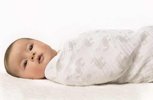 SwaddleDesigns Marquisette Receiving Swaddle Blanket for Baby Boys & Girls, Soft Premium Cotton Muslin, Best Shower Gift, Elephant and Pastel Blue...