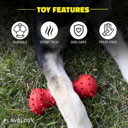 Playology Puppy Teething Bone Dog Toys, Large - Chew Toys with Squeaker for Puppies 4-8 Months (All breeds up to 60 lbs) - Engaging All-Natural Be...