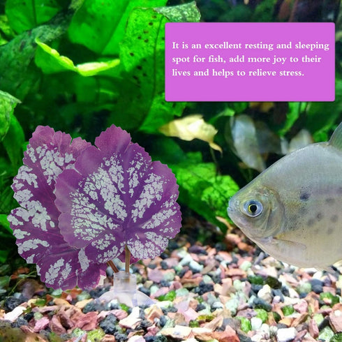balacoo 2pcs Betta Fish Leaf Artificial Aquarium Plants Fake Plants Betta Bed Leaf Hammock for Betta Fish Resting Leaf Plastic Aquarium Plants Lea...