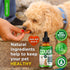 Dog Cough | Cat Cough | Kennel Cough | Dog Cough Relief | Cough Supplements Dog | Allergy Relief | Cat Allergy Relief | 2 Oz...