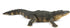 Safari Ltd. Alligator Figurine - Detailed 10.5" Plastic Model Figure - Fun Educational Play Toy for Boys, Girls & Kids Ages 1+...