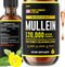 HERBIFY Mullein Drops - Lung Cleanse - Leaf Extract - Powerful Mullein for Immune Support,Detox & Respiratory Support - Made in USA - Lung Cleanse...